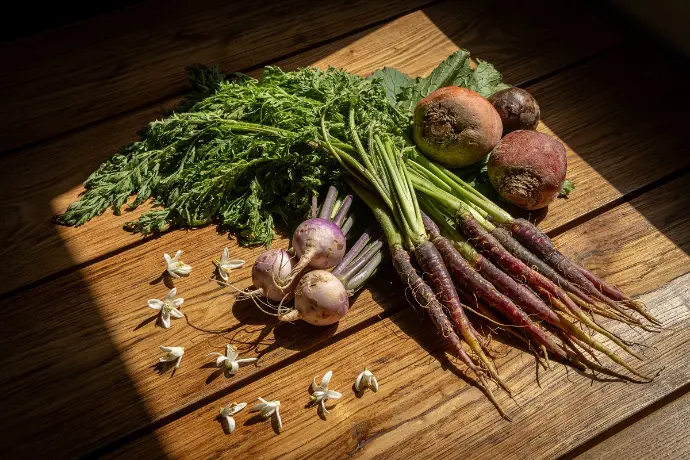 Producte ecològic, km0 i de temporada - El Brot Gastronomia Radical